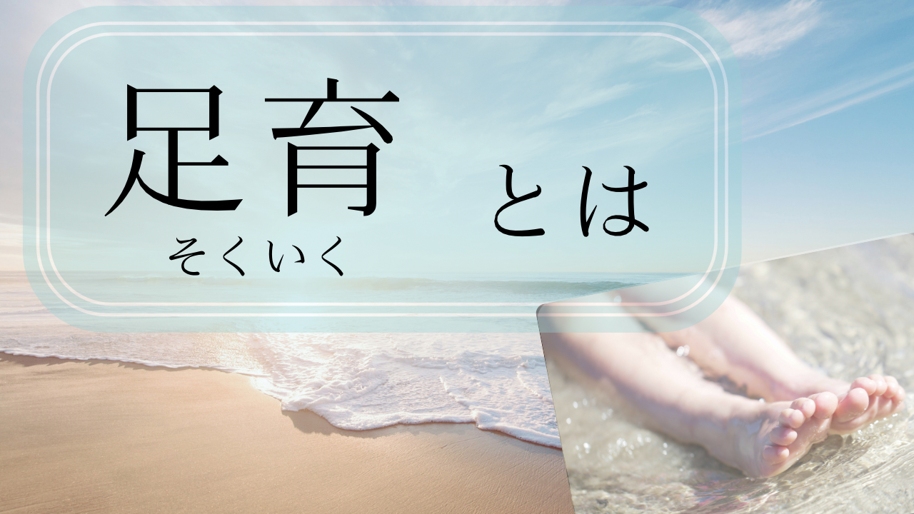 青　ナチュラル　海　写真　zoom背景 - 1