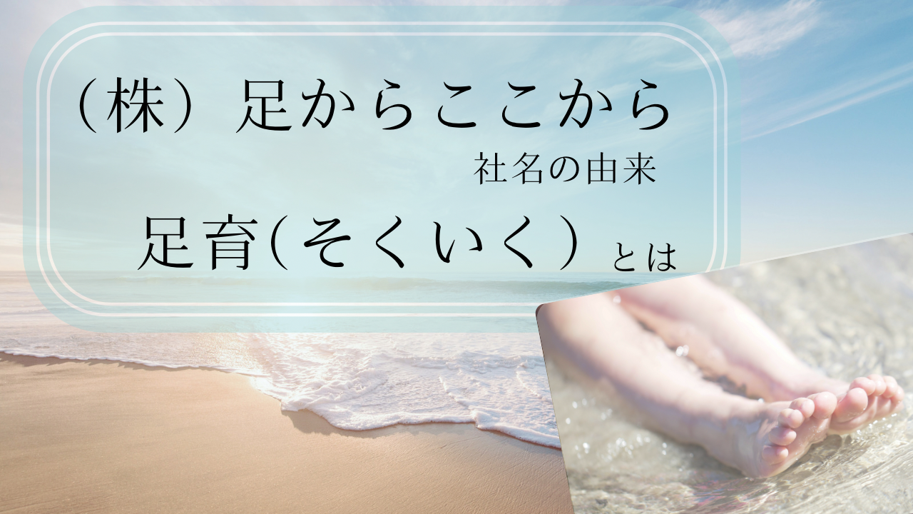 青　ナチュラル　海　写真　zoom背景